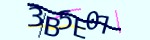 show_captcha